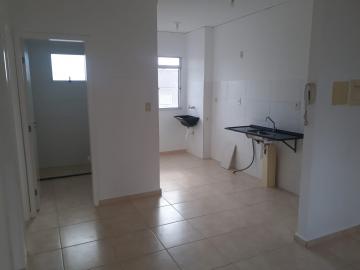 imagem 2 - Apartamentos - Padrão imagem 2 - Apartamentos - Padrão