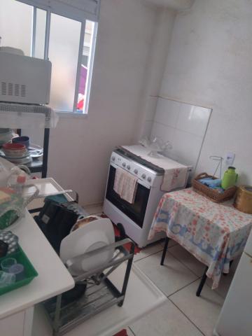 imagem 5 - Apartamentos - Padrão imagem 5 - Apartamentos - Padrão