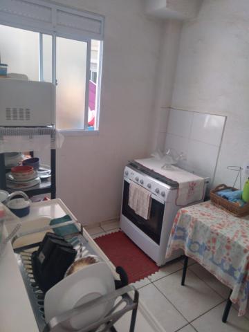 imagem 3 - Apartamentos - Padrão imagem 3 - Apartamentos - Padrão