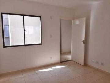 imagem 3 - Apartamentos - Padrão imagem 3 - Apartamentos - Padrão