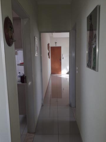 imagem 3 - Apartamentos - Padrão imagem 3 - Apartamentos - Padrão