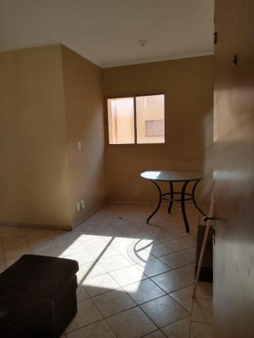 imagem 3 - Apartamentos - Padrão imagem 3 - Apartamentos - Padrão