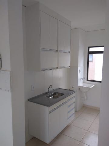 imagem 4 - Apartamentos - Padrão imagem 4 - Apartamentos - Padrão