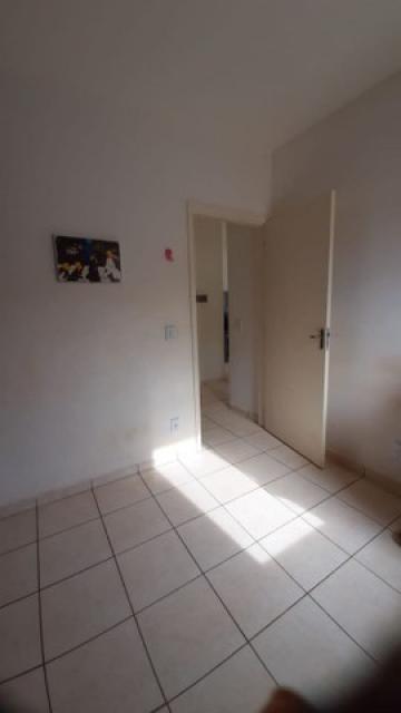 imagem 3 - Excelente Apartamento imagem 3 - Excelente Apartamento