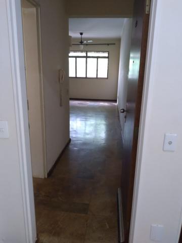 imagem 4 - Apartamentos - Padrão imagem 4 - Apartamentos - Padrão