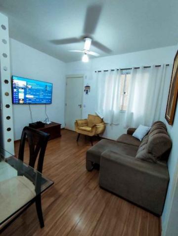 imagem 3 - Apartamentos - Padrão imagem 3 - Apartamentos - Padrão