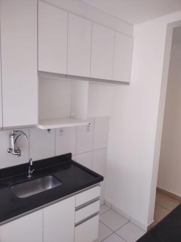 imagem 5 - Apartamentos - Padrão imagem 5 - Apartamentos - Padrão