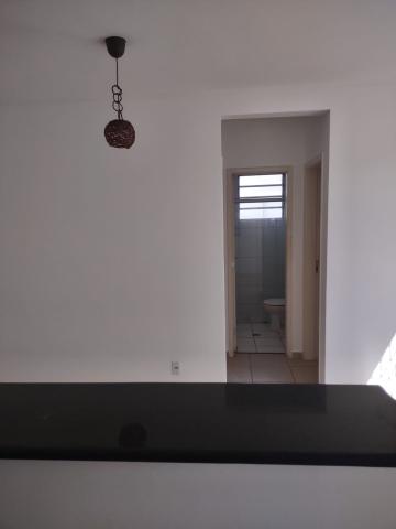 imagem 3 - Apartamentos - Padrão imagem 3 - Apartamentos - Padrão