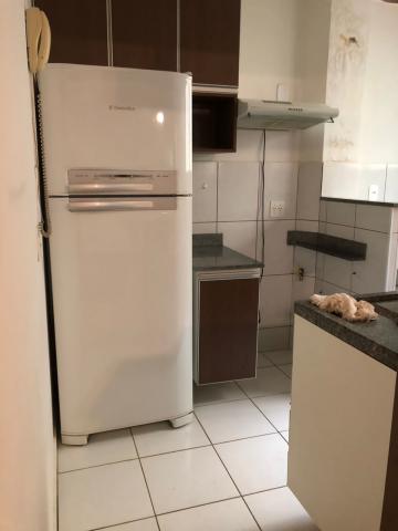imagem 3 - Apartamentos - Padrão imagem 3 - Apartamentos - Padrão