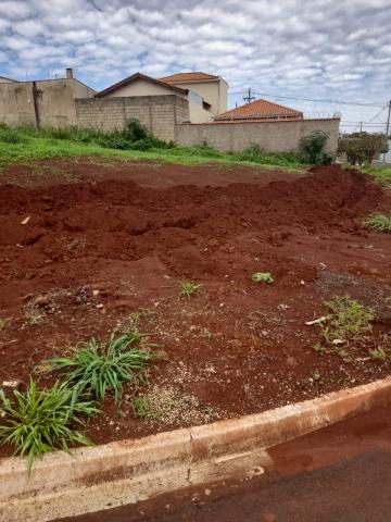 imagem 1 - Terrenos - LoteTerreno imagem 1 - Terrenos - LoteTerreno