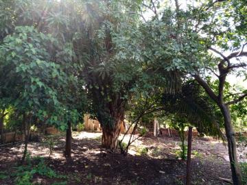 imagem 5 - Chácaras/Imóveis Rurais - RanchoSítio imagem 5 - Chácaras/Imóveis Rurais - RanchoSítio