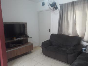 imagem 5 - Apartamentos - Padrão imagem 5 - Apartamentos - Padrão