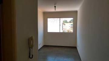 imagem 2 - Apartamentos - Padrão imagem 2 - Apartamentos - Padrão