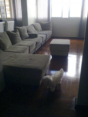 imagem 2 - Apartamentos - Padrão imagem 2 - Apartamentos - Padrão