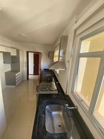 imagem 5 - Apartamentos - Padrão imagem 5 - Apartamentos - Padrão