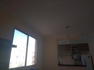imagem 4 - Apartamentos - Padrão imagem 4 - Apartamentos - Padrão