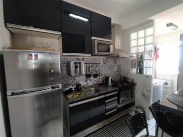 imagem 5 - Apartamentos - Padrão imagem 5 - Apartamentos - Padrão