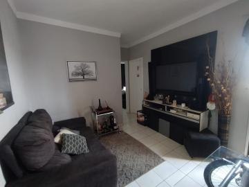 imagem 2 - Apartamentos - Padrão imagem 2 - Apartamentos - Padrão