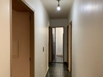 imagem 5 - Apartamentos - Padrão imagem 5 - Apartamentos - Padrão
