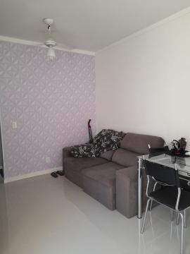 imagem 3 - Apartamentos - Padrão imagem 3 - Apartamentos - Padrão
