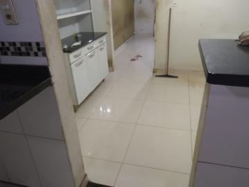 imagem 5 - Casa Térrea para Locação no Bairro Jardim José Sampaio Júnior, em Ribeirão Preto imagem 5 - Casa Térrea para Locação no Bairro Jardim José Sampaio Júnior, em Ribeirão Preto
