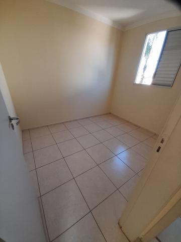 imagem 3 - Apartamentos - Padrão imagem 3 - Apartamentos - Padrão