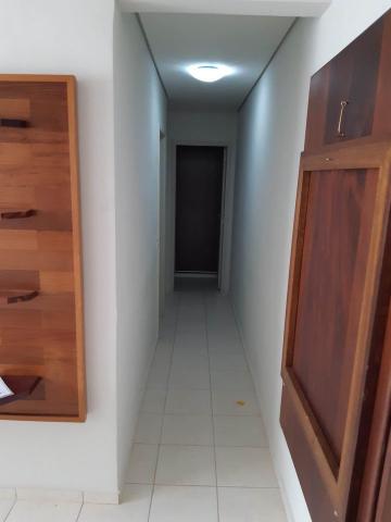 imagem 3 - Apartamentos - Padrão imagem 3 - Apartamentos - Padrão