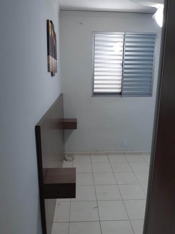 imagem 5 - Apartamentos - Padrão imagem 5 - Apartamentos - Padrão