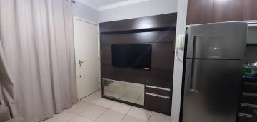 imagem 4 - Apartamentos - Padrão imagem 4 - Apartamentos - Padrão