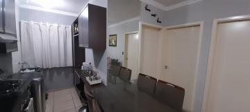 imagem 2 - Apartamentos - Padrão imagem 2 - Apartamentos - Padrão