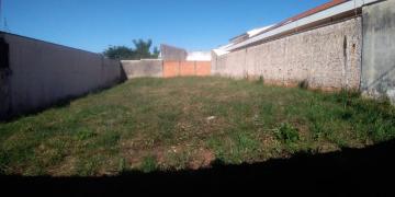 imagem 2 - Terrenos - LoteTerreno imagem 2 - Terrenos - LoteTerreno