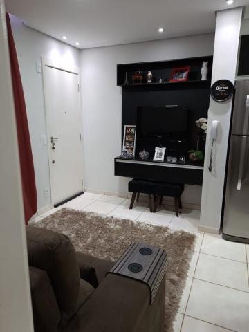 imagem 2 - Apartamentos - Padrão imagem 2 - Apartamentos - Padrão