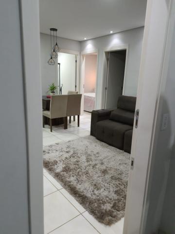 imagem 3 - Apartamentos - Padrão imagem 3 - Apartamentos - Padrão