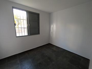 imagem 5 - Apartamentos - Padrão imagem 5 - Apartamentos - Padrão