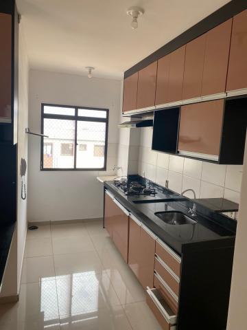 imagem 4 - Apartamentos - Padrão imagem 4 - Apartamentos - Padrão