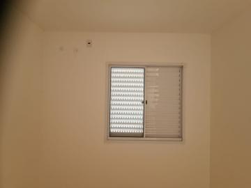 imagem 5 - Apartamentos - Padrão imagem 5 - Apartamentos - Padrão