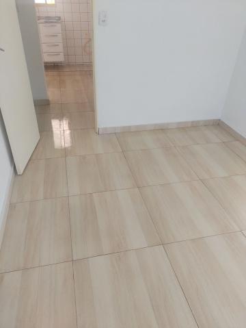 imagem 2 - Apartamentos - Padrão imagem 2 - Apartamentos - Padrão