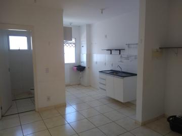 imagem 2 - Apartamentos - Padrão imagem 2 - Apartamentos - Padrão