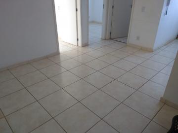 imagem 5 - Apartamentos - Padrão imagem 5 - Apartamentos - Padrão