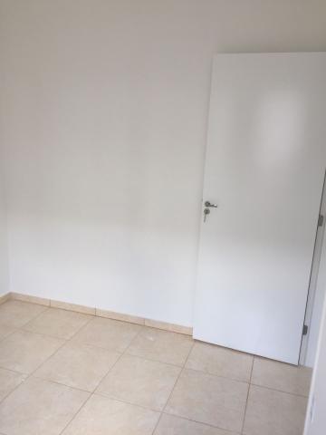 imagem 5 - Apartamentos - Padrão imagem 5 - Apartamentos - Padrão