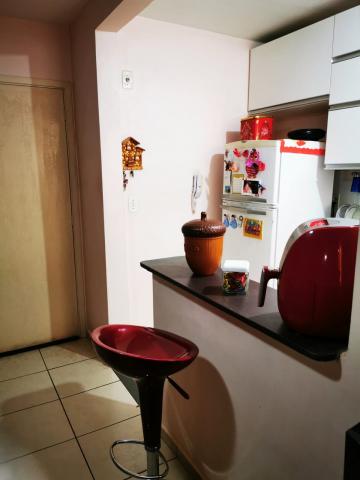 imagem 5 - Apartamentos - Padrão imagem 5 - Apartamentos - Padrão