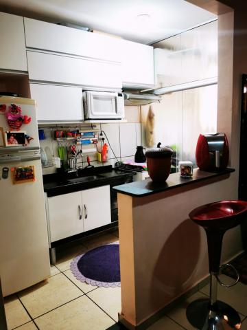 imagem 4 - Apartamentos - Padrão imagem 4 - Apartamentos - Padrão