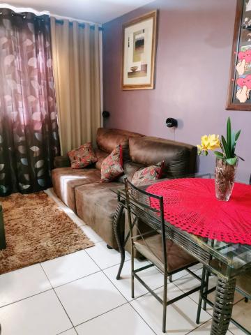 imagem 3 - Apartamentos - Padrão imagem 3 - Apartamentos - Padrão