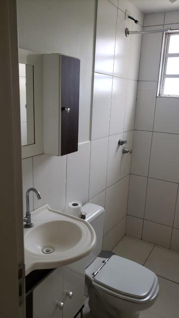 imagem 5 - Apartamentos - Padrão imagem 5 - Apartamentos - Padrão