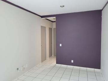 imagem 2 - Apartamentos - Padrão imagem 2 - Apartamentos - Padrão