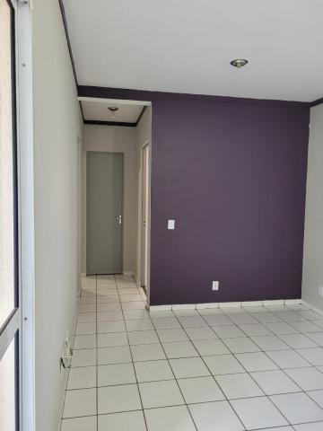 imagem 1 - Apartamentos - Padrão imagem 1 - Apartamentos - Padrão
