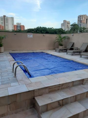 imagem 2 - Apartamentos - Padrão imagem 2 - Apartamentos - Padrão