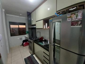 imagem 4 - Apartamentos - Padrão imagem 4 - Apartamentos - Padrão