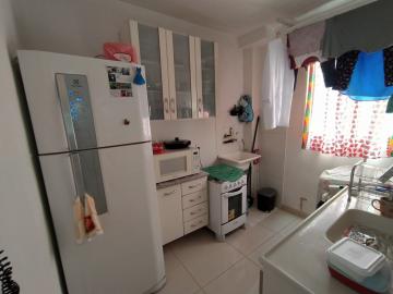 imagem 3 - Apartamentos - Padrão imagem 3 - Apartamentos - Padrão