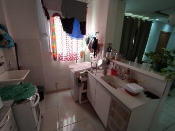 imagem 4 - Apartamentos - Padrão imagem 4 - Apartamentos - Padrão